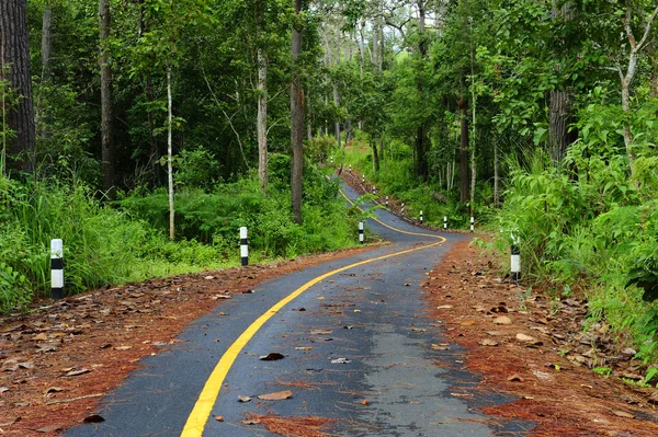 Close-up Of the beatiful curved road.