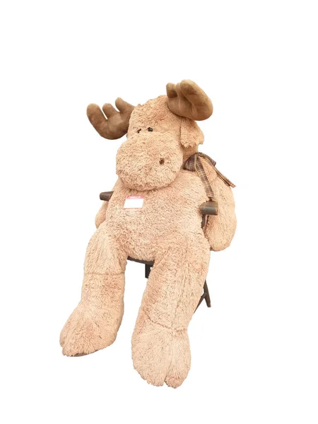 Reindeer doll on white background — Stock Photo, Image