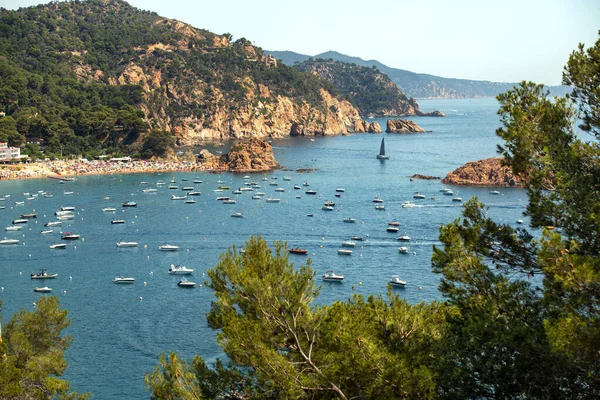 拥有绿色植被的落基海岸 在美丽的地中海海湾 有小船 游艇和小船 免版税图库图片