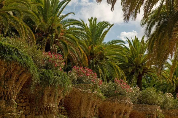 Beautiful landscape composition of palm trees, flowering plants and ivy on tree columns in the famous park on a background of blue sky with clouds, close-up