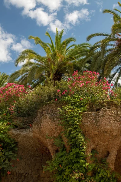 美丽的棕榈树叶 开花的植物和常春藤构成的风景画 矗立在一座著名公园的树形柱子上 蓝天的背景上 乌云密布 图库图片