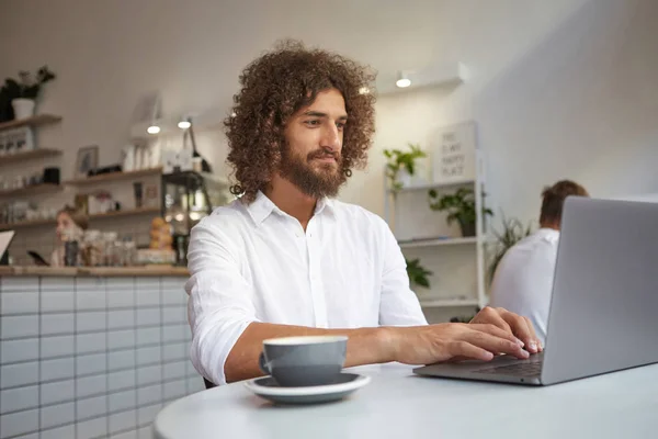 예쁘고 곱슬곱슬 한 젊은 남자가 컴퓨터로 좋은 소식을 읽고 있는 실내 사진하얀 셔츠를 입고 원격으로 시내 카페에서 일하고 있는 모습 — 스톡 사진