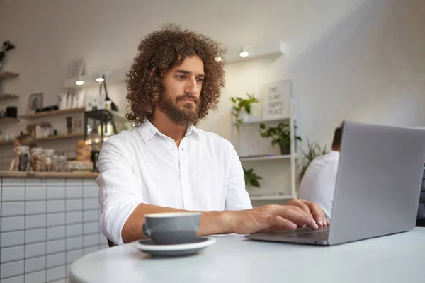 Inomhusporträtt av en ung seriös affärsman som koncentrerar sig på arbetet medan han sitter vid skrivbordet framför datorskärmen och poserar över kaféinteriören — Stockfoto