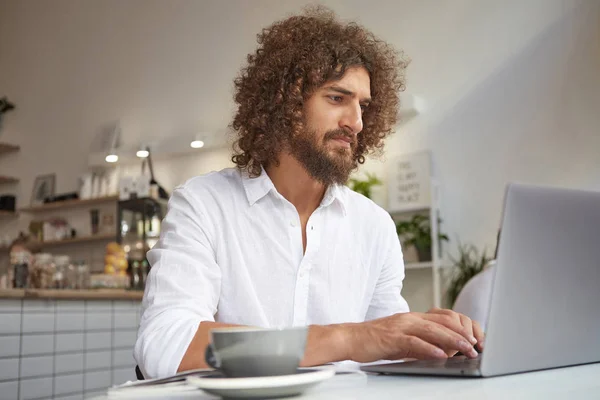 Indoor portrait of young attractive curly freelancer with beard looking at screen intently, working in public place using wi-fi, wearing white shirt