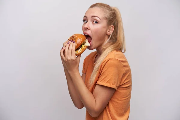 Studio photo of pretty young long haired blonde woman in casual wear holding tasty hamburger in her hands and going to eat it, standing against white background — kuvapankkivalokuva