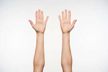 Genç, açık tenli bir kadın beyaz arka planda izole edilmiş bir şekilde ellerini kaldırdı. Avuçlarını kameraya gösteriyor ve tüm parmaklarını ayrı tutuyor.