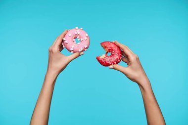 Genç bir bayanın pembe şekerli taze çörekleri tutan, aç olup birini ısıran ve mavi arka planda poz veren güzel ellerinin yatay fotoğrafı.