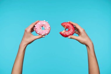 Pembe donutlarla büyüyen genç bir bayanın güzel elleri. Biri ısırılıp, diğerine götürülüyor. Mavi arka planda izole edilmiş.