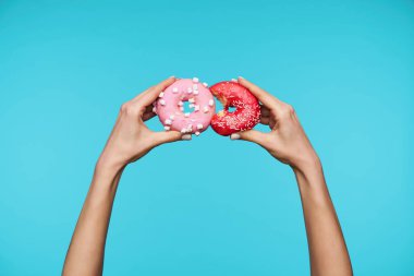 Beyaz manikürlü zarif bir bayanın elleri mavi arka planda izole edilmiş taze donutları tutarken bir donutun diğerini yediğini taklit ediyor.