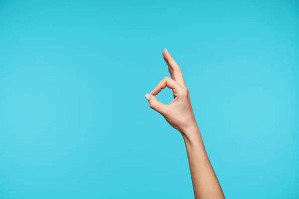 Photo of attractive lady\'s hand being raised while folding fingers in ok gesture, showing well done sign while isolated against blue background. Informal ladies hand emotions
