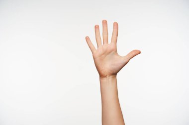 Kalkmış kadının elinin avuçlarını göstermesi ve parmaklarını ayrı tutması parmaklarla sayma belirtileri gösterirken beyaz arka planda poz vermesi.