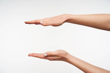 Stüdyo fotoğrafında beyaz manikürlü genç bir bayan beyaz arka planda poz verirken avuçlarıyla görünmez nesneleri ölçüyor. İnsan vücut dili kavramı