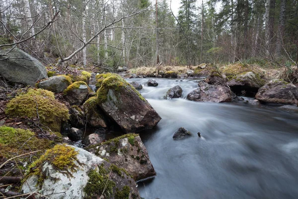 Río Natural Suecia Que Atraviesa Bosque Mixto —  Fotos de Stock