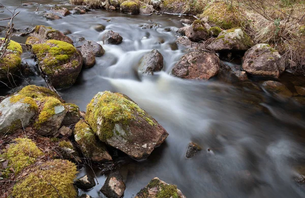 Río Natural Suecia — Foto de Stock