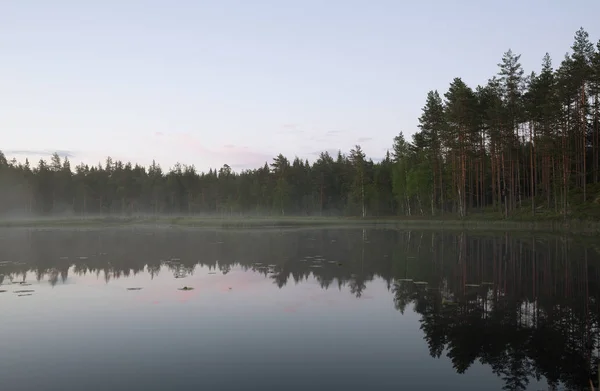 Lago Tranquilo Suecia Con Niebla — Foto de Stock