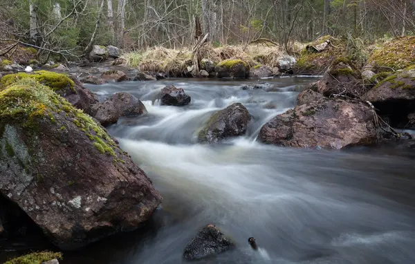 Přírodní Řeka Švédsku Protékající Smíšeným Lesem — Stock fotografie