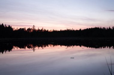 İsveç 'teki küçük sakin göl ormanla çevrili.