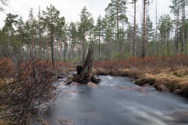 İlkbaharın ilk zamanlarında uzun pozlarla çekilen akıntı
