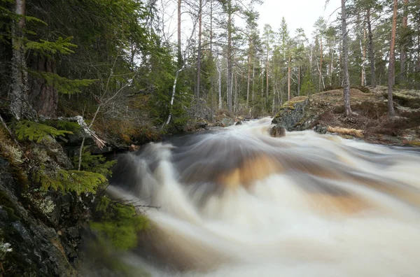 Río Salvaje Primavera Con Una Gran Cantidad Agua Fusión Fotografiada —  Fotos de Stock