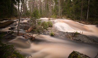 İlkbaharda el değmemiş vahşi nehir uzun süre fotoğraflanmış.
