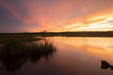 Sığ sularda kök salmış bataklığın üzerinde güzel bir gün batımı.