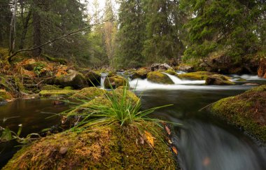 Dalarna 'nın kuzeyindeki el değmemiş nehir, İsveç' te uzun süre fotoğraflanmış.
