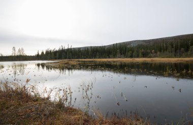 Dalarna 'nın kuzeyinde, sonbaharın başlarında İsveç' te sakin bir dağ gölü. Arka planda dağ.