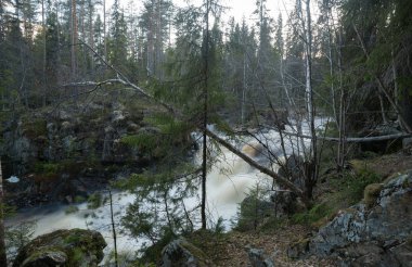 İlkbaharın başlarında ormandaki vahşi nehir