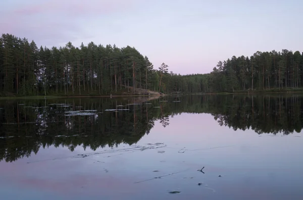 Spokojne Jezioro Rezerwacie Przyrody Szwecji — Zdjęcie stockowe