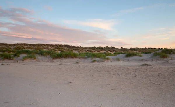 日没で撮影された植生と砂丘 — ストック写真