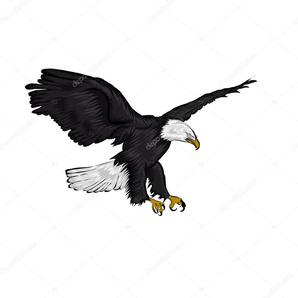 Simple design of illustration hawk on white background 