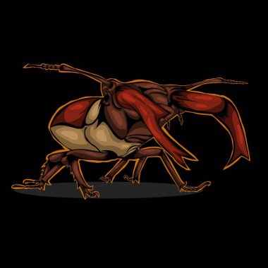 Siyah arkaplandaki resimleme böceğinin basit tasarımı. 