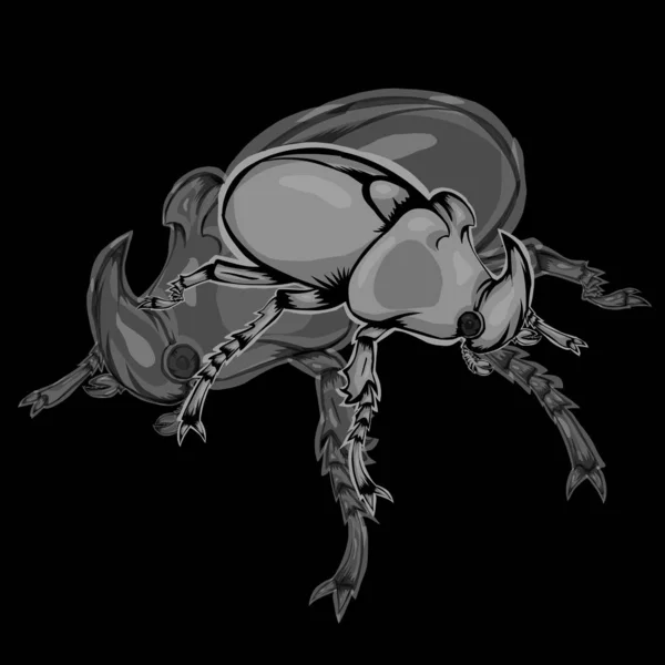 Diseño Simple Escarabajo Ilustración Con Escarabajo Silueta Sobre Fondo Negro — Archivo Imágenes Vectoriales