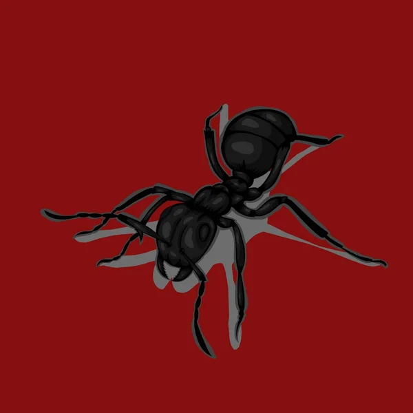 Conception Simple Fourmis Illustration Noir Sur Fond Rouge — Image vectorielle