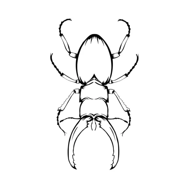 Skizze Entwurf Der Illustration Insekt Hummel — Stockvektor