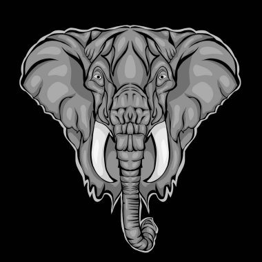 Vektör baş filin tasarımı 