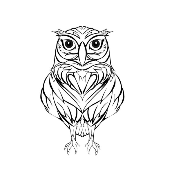 Sketch design of illustration vector owl 