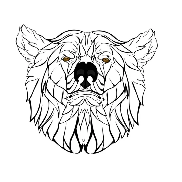 Sketch Design Illustration Head Bear White Background — 스톡 벡터