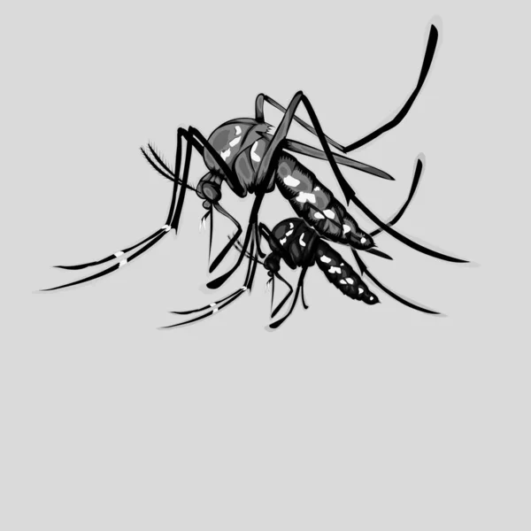 Simple design of illustration mosquito with silhouette mosquito 
