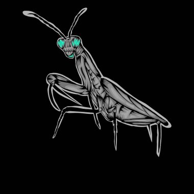 Simple design of illustration Praying mantis on black background vector Simple design of illustration Praying mantis on black background vector