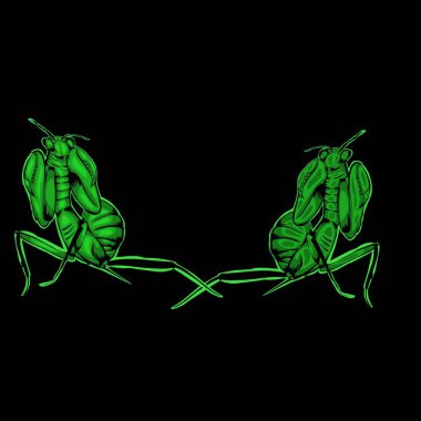 Simple design of illustration Praying mantis on black background vector Simple design of illustration Praying mantis on black background vector