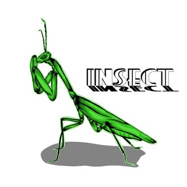 Simple design of illustration Praying mantis Green vector Simple design of illustration Praying mantis Green vector