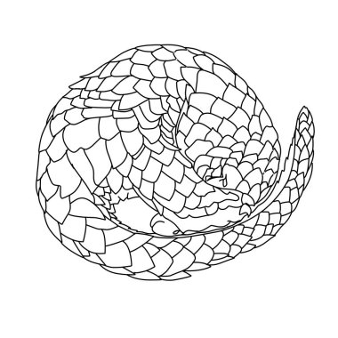 Beyaz arkaplanda resimli pangolin tasarımı 