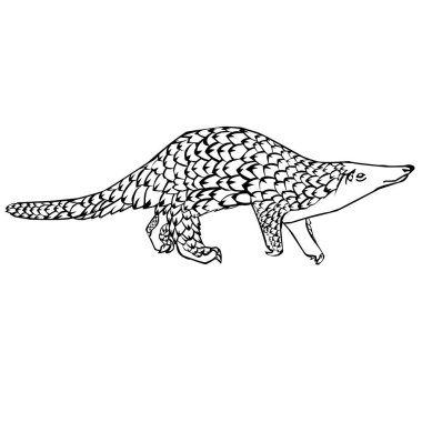 Beyaz arkaplanda resimli pangolin tasarımı 
