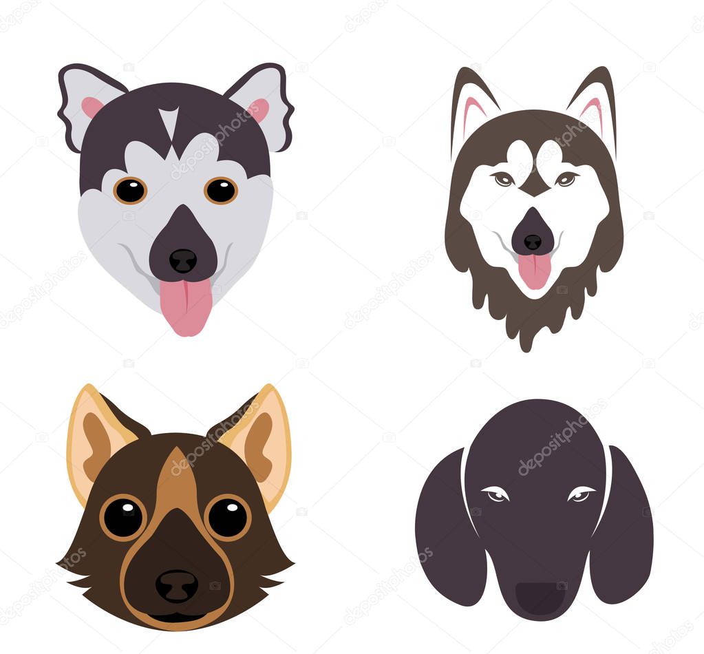 Vector - The big vector set of dog breeds  icons