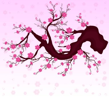 Kiraz çiçeği vektör Çin yeni yıl ve ay yeni yıl için 