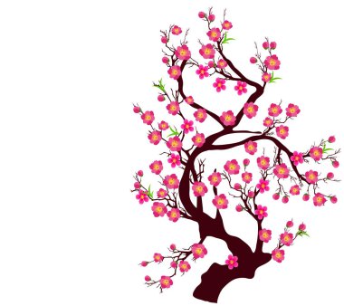 Kiraz çiçeği vektör Çin yeni yıl ve ay yeni yıl için 