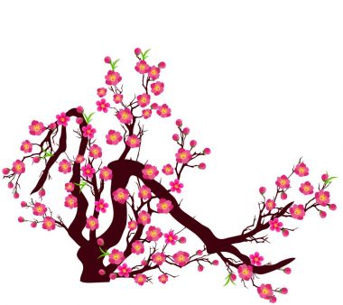 Kiraz çiçeği vektör Çin yeni yıl ve ay yeni yıl için 