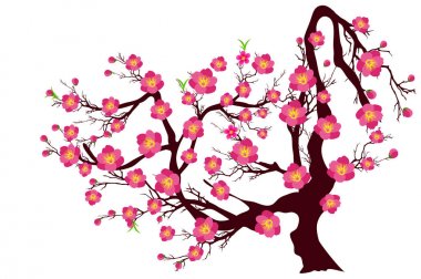 Kiraz çiçeği vektör Çin yeni yıl ve ay yeni yıl için 