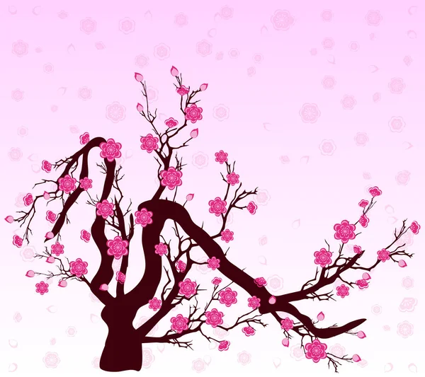 Vector Cherry blossom for Chinese New Year and lunar new year — Stock Vector